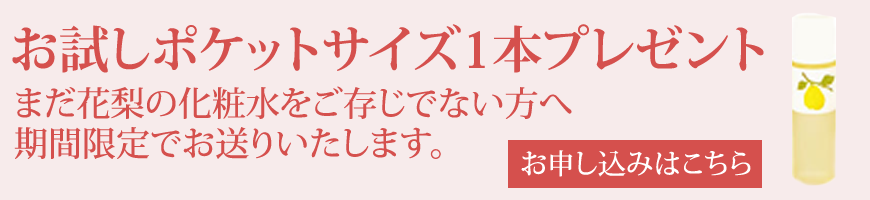 お試しポケットサイズ1本プレゼント